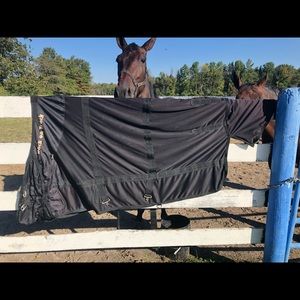 Back on Track Mesh Sheets